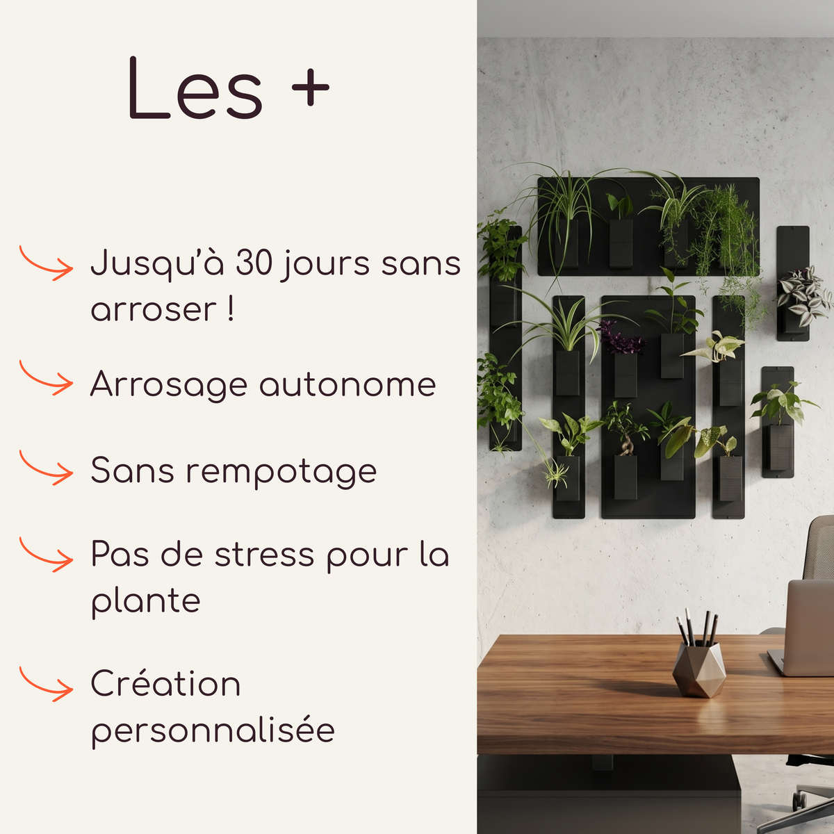 Infographie publicitaire Éclance décoration intérieur végétal mettant en avant les bénéfices produits. À gauche, sous le titre "Les +", sont listés les arguments : Jusqu'à 30 jours sans arroser !, Arrosage autonome, Sans rempotage, Pas de stress pour la plante et Création personnalisée. À droite, une photo d'illustration montre un mur végétal composé de panneaux magnétiques et de cache-pots Le cube tout noir pour pots de 6cm, fixés sur un mur en béton brut dans un bureau moderne avec une table en bois.