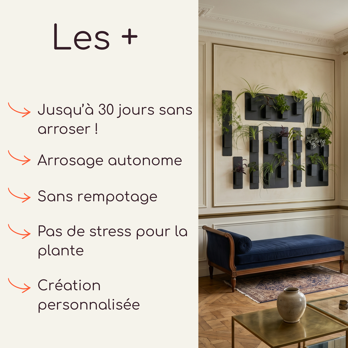 Infographie promotionnelle Éclance décoration intérieur végétal mettant en avant les avantages du produit. À gauche, la section "Les +" liste les promesses d'entretien : Jusqu'à 30 jours sans arroser !, Arrosage autonome, Sans rempotage, Pas de stress pour la plante et Création personnalisée. À droite, une photo montre l'installation en situation : un grand mur végétal composé de plaques magnétiques noires et de cache-pots Le cube tout noir pour pots de 6cm, fixé sur un mur à moulures.