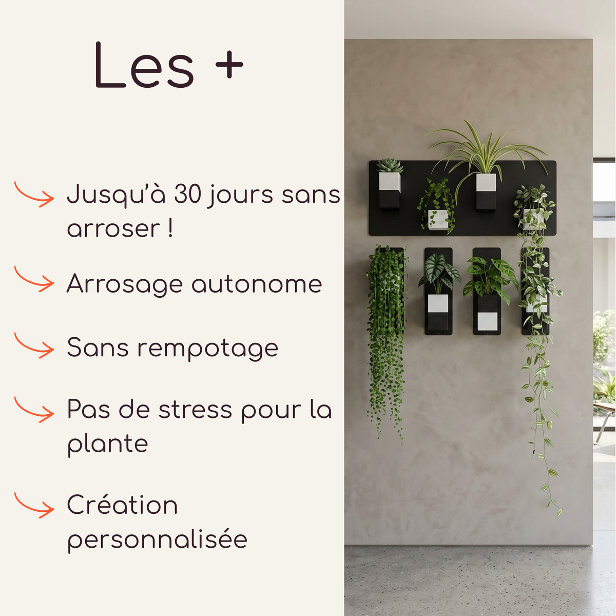 Infographie publicitaire présentant les avantages du mur végétal modulaire par Éclance décoration intérieur végétal. La partie gauche, sur un fond crème épuré, liste les points forts du système avec des flèches orange : "Les +", Jusqu'à 30 jours sans arroser !, Arrosage autonome, Sans rempotage, Pas de stress pour la plante et Création personnalisée. À droite montre une mise en scène moderne et lumineuse, avec les cache-pots Le cube bicolore noir et blanc ( pots de 6cm) aimantés sur des plaques noires.