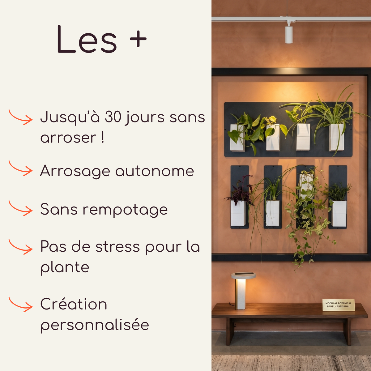 Infographie publicitaire présentant les avantages du mur végétal modulaire par Éclance décoration intérieur végétal. La partie gauche,liste les points forts du système avec des flèches orange : "Les +", jusqu'à 30 jours sans arroser !, arrosage autonome, sans rempotage, pas de stress pour la plante et création personnalisée. La partie droite montre une mise en scène chaleureuse dans un showroom, avec les cache-pots Le cube tout blanc (conçus pour des pots de 6cm) aimantés sur des plaques noires.
