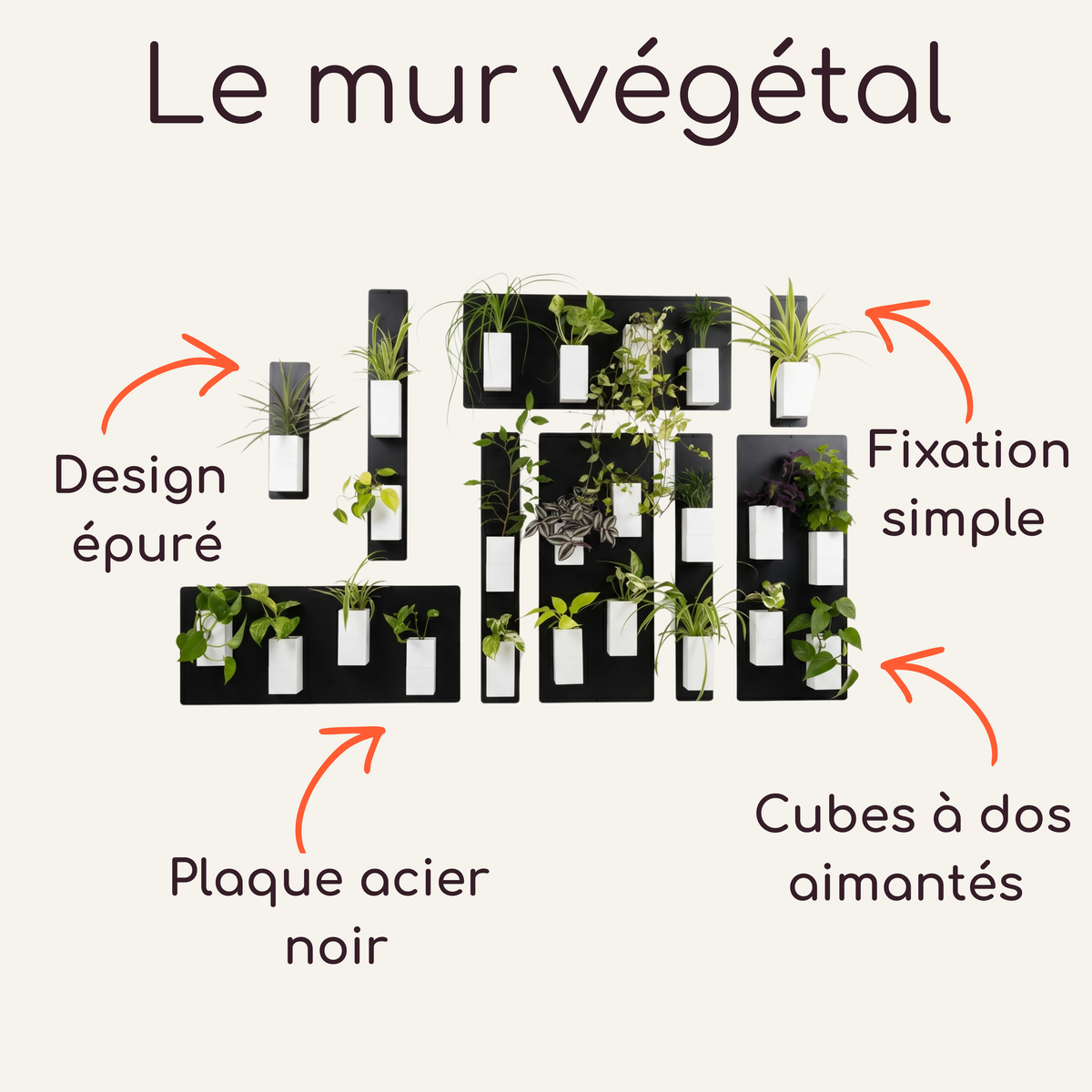 Infographie explicative et technique du système de mur végétal modulaire par Éclance décoration intérieur végétal, présentée sur fond crème. Le titre en haut indique "Le mur végétal". Au centre, l'illustration montre un grand tableau végétal composé de plusieurs plaques magnétiques en acier noir disposées de façon asymétrique. Une multitude de cache-pots monochromes Le cube tout blanc (conçus pour des pots de 6cm) y sont aimantés avec des plantes d'intérieur vertes et retombantes. 