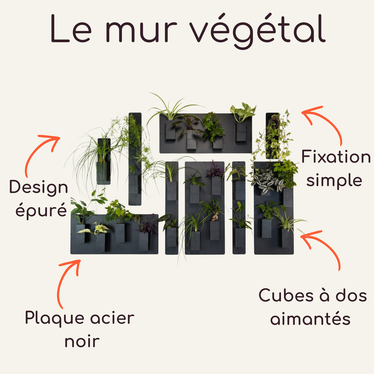 Infographie explicative du système de mur végétal modulaire par Éclance décoration intérieur végétal, présentée sur fond crème. Le titre en haut indique "Le mur végétal". Au centre, l'image montre une grande composition XXL et asymétrique combinant plusieurs plaques magnétiques en acier noir. Une multitude de cache-pots monochromes Le cube tout noir (conçus pour des pots de 6cm) y sont aimantés avec une grande variété de plantes vertes d'intérieur et de feuillages retombants. 