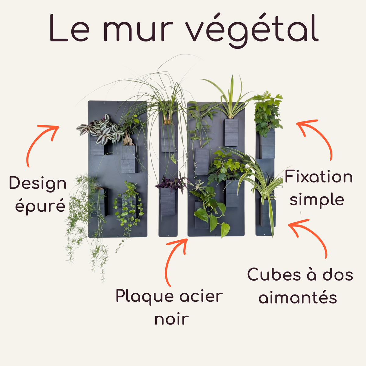 Infographie explicative du système de mur végétal modulaire par Éclance décoration intérieur végétal, sur fond crème. En haut, le titre indique "Le mur végétal". Au centre, le visuel montre quatre plaques magnétiques verticales en acier noir sur lesquelles sont aimantés plusieurs cache-pots Le cube tout noir (conçus pour des pots de 6cm) contenant des plantes vertes d'intérieur. Des flèches orange pointent vers les caractéristiques du produit : Design épuré, Plaque acier noir, Fixation simple, dos aimantés.