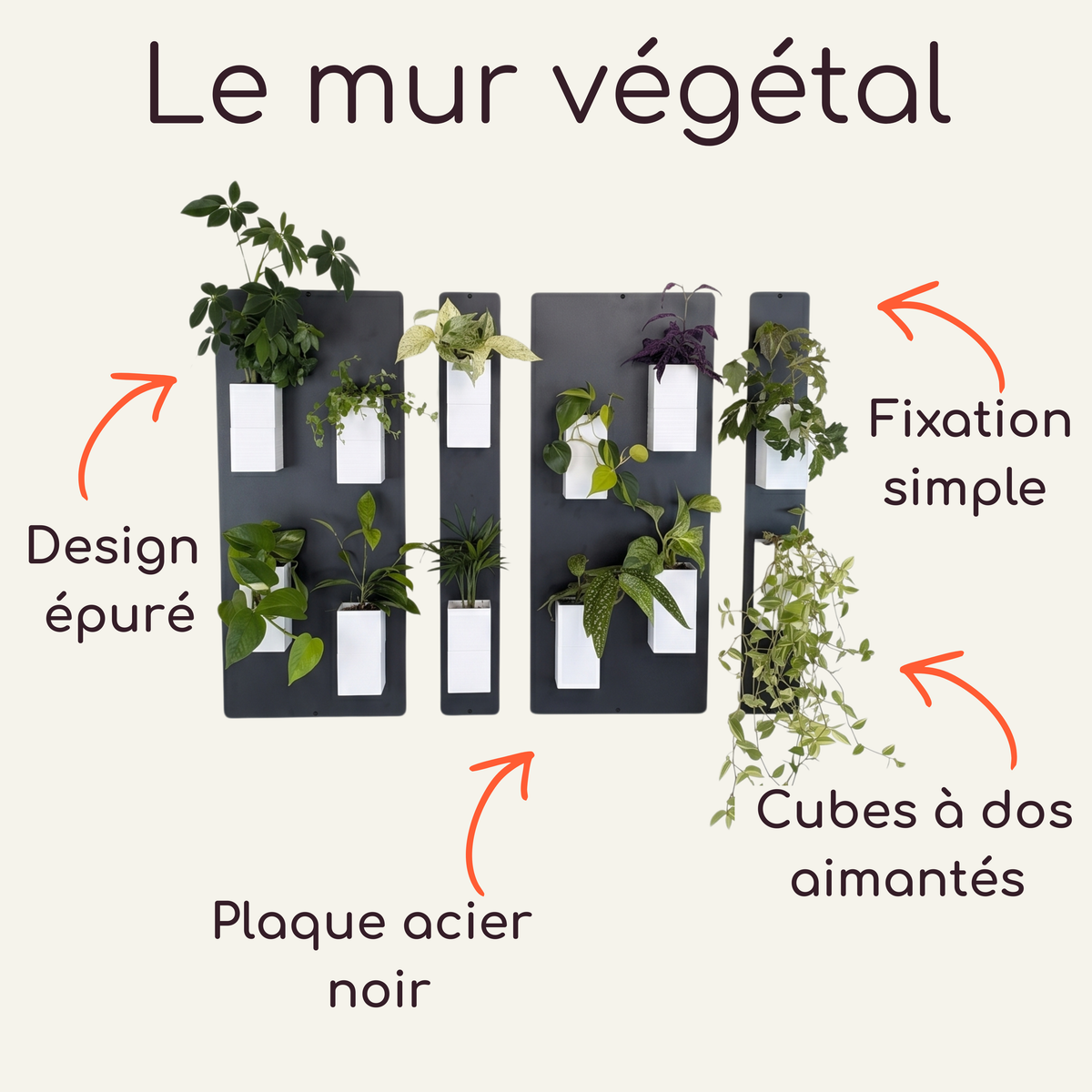 Infographie explicative du système de mur végétal modulaire par Éclance décoration intérieur végétal, présentée sur un fond crème. En haut, le titre indique "Le mur végétal". Au centre, le visuel montre quatre plaques magnétiques verticales en acier noir ornées de cache-pots Le cube tout blanc (conçus pour des pots de 6cm) avec des plantes. Des flèches orange pointent vers des annotations textuelles mettant en avant les caractéristiques du produit : "Design épuré", "Plaque acier noir", "Fixation simple".