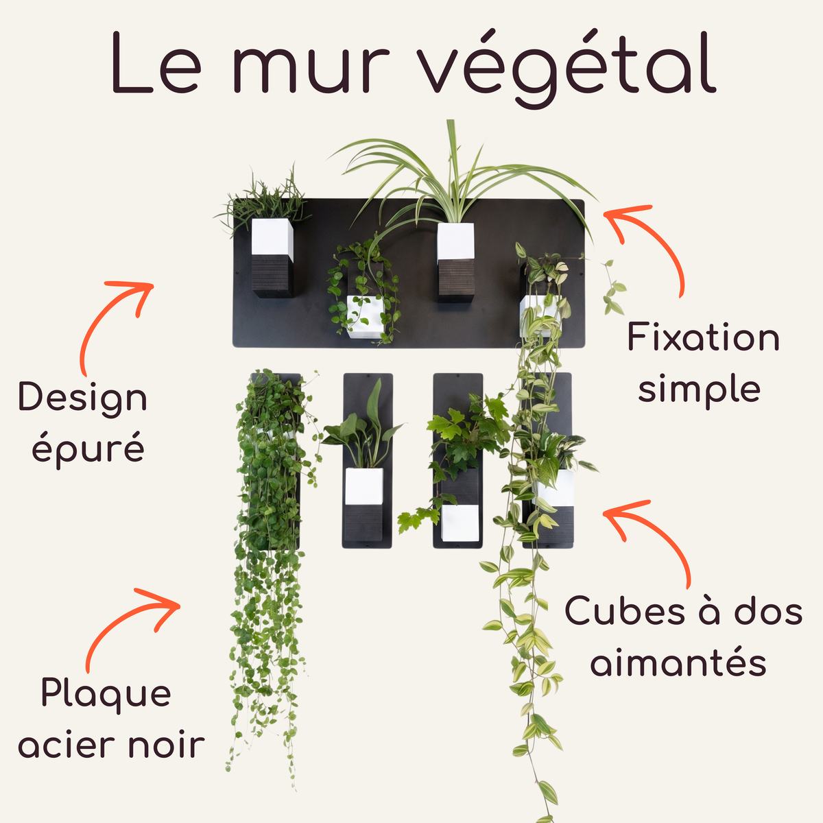 Infographie explicative du système de mur végétal modulaire par Éclance décoration intérieur végétal. Le titre indique "Le mur végétal". Le visuel présente une composition mixte avec une plaque magnétique noire horizontale en haut et quatre plaques verticales fines en dessous. Plusieurs cache-pots Le cube bicolore noir et blanc (pots de 6cm) y sont aimantés, laissant s'échapper des plantes vertes et de longues cascades de feuillages. Des flèches orange pointent vers les annotations : Design épuré, plaque...