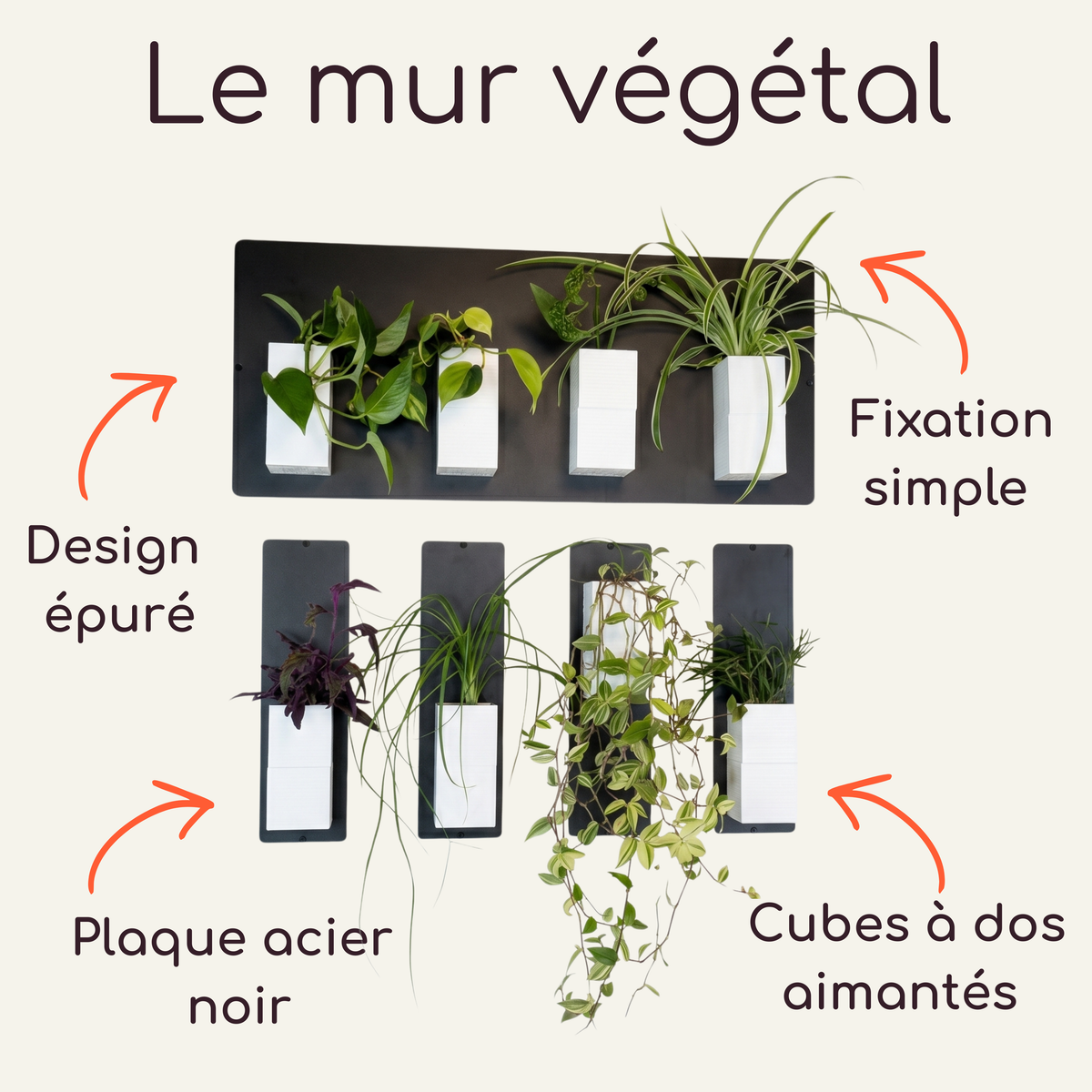 Infographie explicative du système de mur végétal modulaire par Éclance décoration intérieur végétal. En haut, le titre indique "Le mur végétal". Le visuel présente une composition mixte avec une plaque magnétique noire horizontale en haut et quatre plaques verticales fines en dessous. Plusieurs cache-pots Le cube tout blanc (pots de 6cm) avec des plantes vertes y sont aimantés. Des flèches orange pointent vers les annotations : design épuré, plaque acier noir, fixation simple, cubes à dos aimantés.