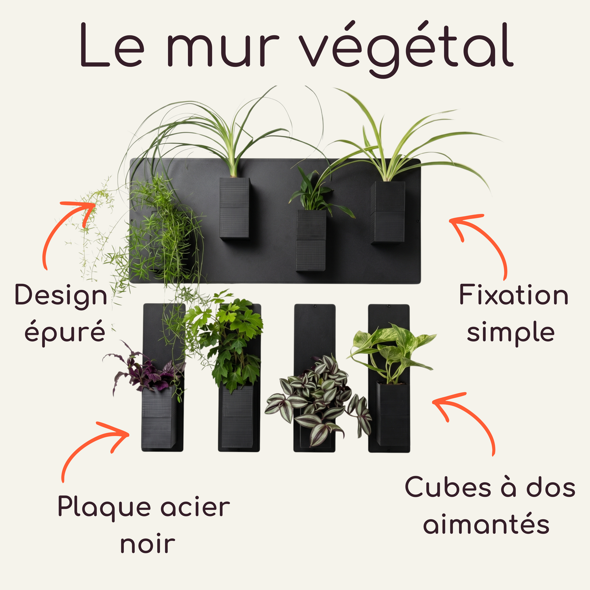Infographie explicative du système de mur végétal modulaire par Éclance décoration intérieur végétal, sur fond crème. Le titre indique "Le mur végétal". Le visuel présente une composition asymétrique avec une grande plaque noire horizontale surmontant quatre plaques verticales fines. Plusieurs cache-pots monochromes Le cube tout noir (conçus pour des pots de 6cm) y sont aimantés avec des plantes vertes d'intérieur. Des flèches orange pointent vers les caractéristiques : design éprué, fixation simple, cubes