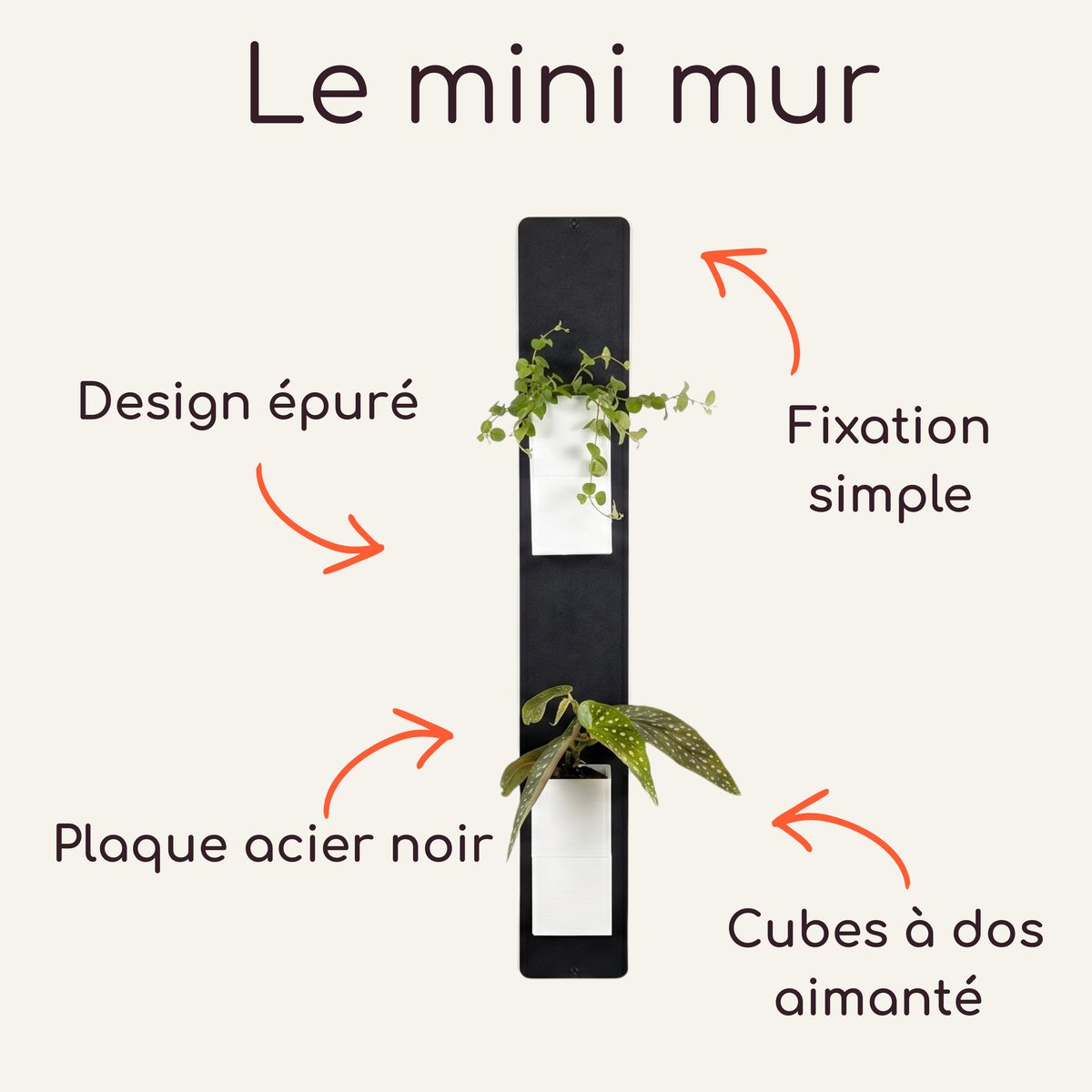 Infographie explicative intitulée « Le mini mur » par Éclance décoration intérieur végétal. Le visuel met en avant un support vertical sous forme de plaque en acier noir au design épuré et à fixation simple. Elle présente le cache-pot Le cube, parfaitement adapté pour un pot de 6cm, doté d'un dos aimanté et décliné ici en coloris tout blanc pour accueillir de petites plantes vertes d'intérieur.