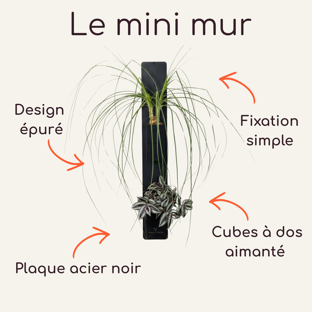 Infographie descriptive du concept Le mini mur par Éclance décoration intérieur végétal. Des flèches orange détaillent le support vertical en acier noir avec deux cache-pots noirs Le cube (6cm) aimantés contenant un Beaucarnea et une misère. Textes : Design épuré, Fixation simple, Plaque acier noir, Cubes à dos aimanté.