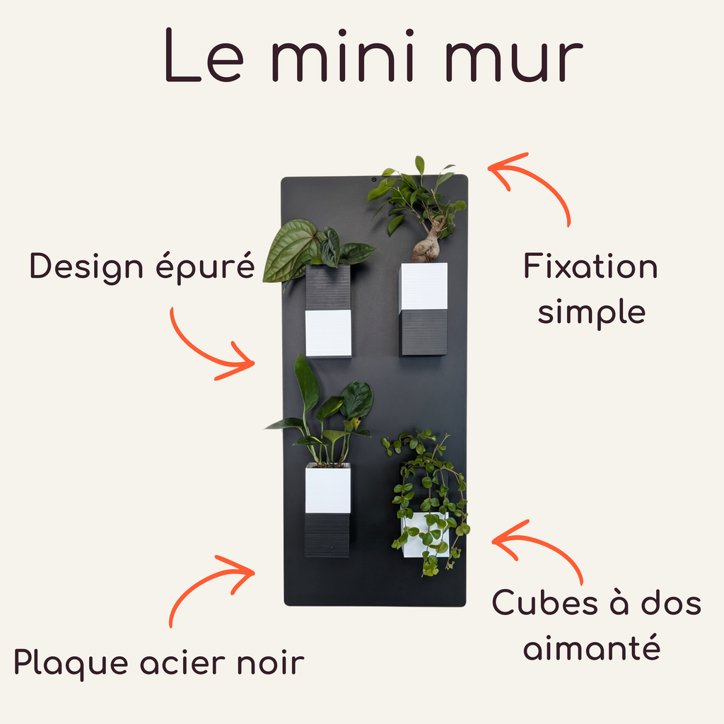 Infographie explicative du produit Le mini mur de la marque Éclance décoration intérieur végétal. Le schéma détaille une plaque en acier noir minimaliste sur laquelle sont fixés quatre cache-pots bicolores Le cube, adaptés pour un pot de 6cm. Des flèches orange mettent en avant les caractéristiques : design épuré, fixation simple, plaque acier noir et cubes à dos aimanté.