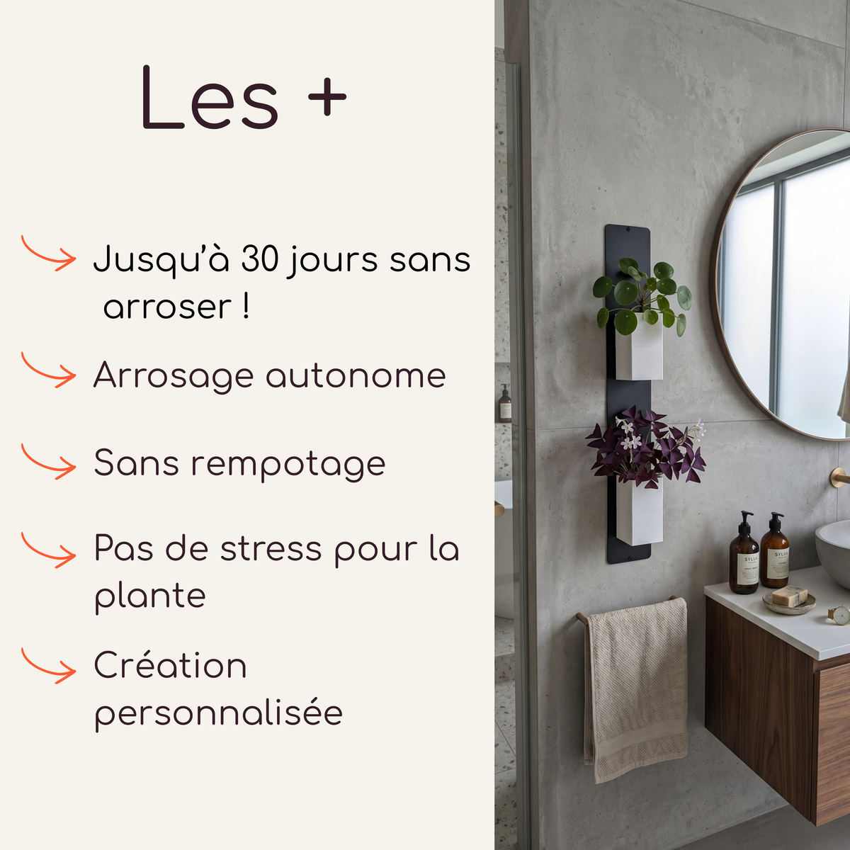 Infographie descriptive d'un mini mur végétal par Éclance décoration intérieur végétal dans une salle de bain moderne. Le visuel liste les avantages du concept (arrosage autonome jusqu'à 30 jours, sans rempotage) et illustre une barre support murale noire fixée sur un mur en béton ciré. Elle accueille le cache-pot Le cube, adapté pour un pot de 6cm, choisi ici en coloris tout blanc avec des plantes d'intérieur (Pilea et Oxalis).
