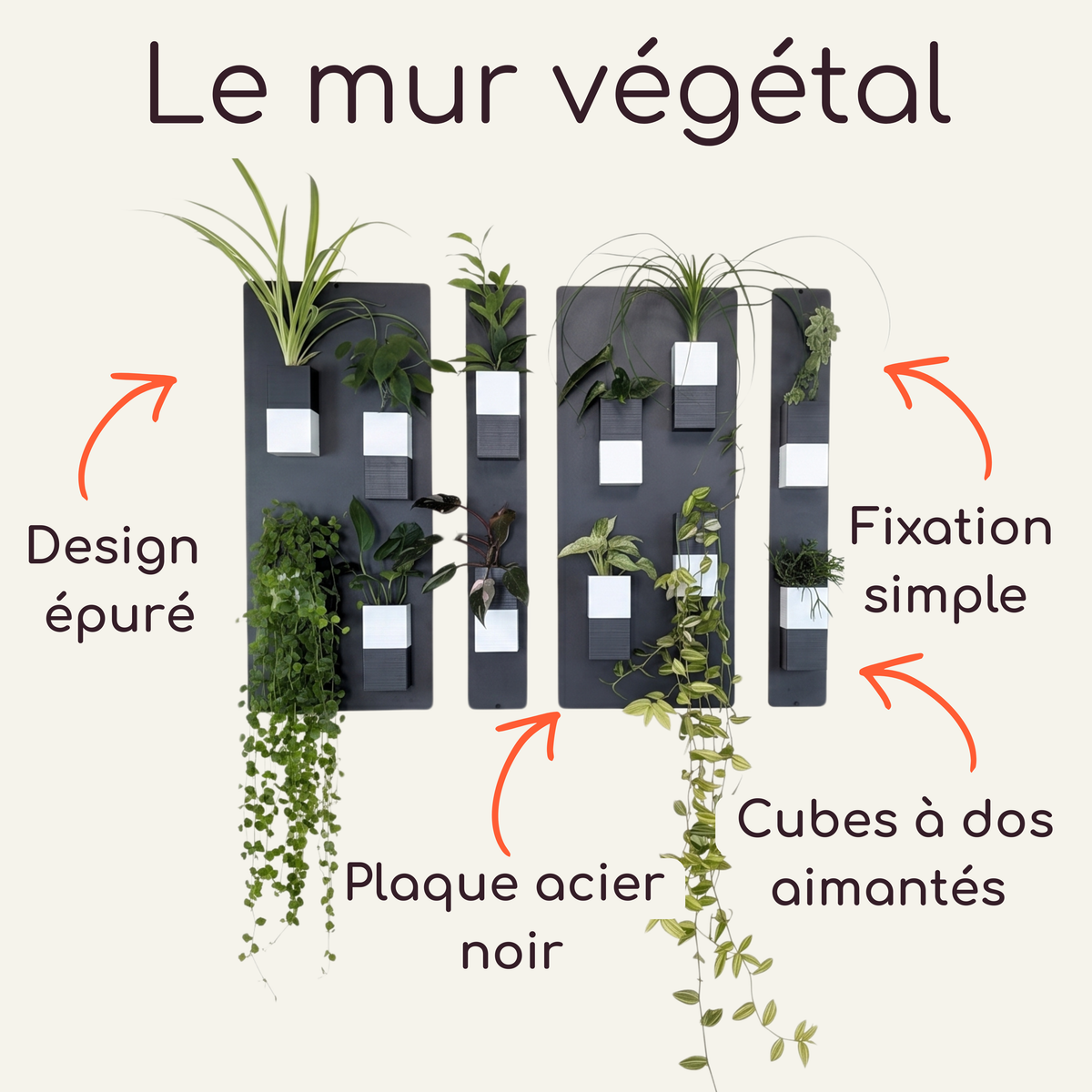 Infographie descriptive du mur végétal par Éclance décoration intérieur végétal. Le visuel présente un support mural composé de plaques en acier noir au design épuré avec une fixation simple. Il met en avant le cache-pot Le cube, adapté pour un pot de 6cm, doté de dos aimantés et décliné en coloris bicolore noir et blanc, accueillant différentes plantes vertes et tombantes.