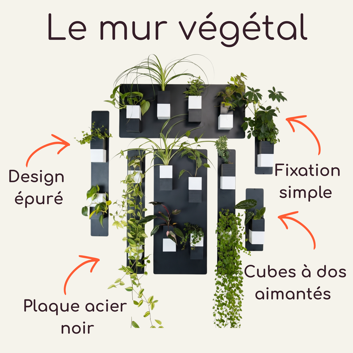 Infographie descriptive du mur végétal modulaire Éclance décoration intérieur végétal. Le visuel montre plusieurs plaques en acier noir supportant des cache-pots Le cube bicolores (noir et blanc), adaptés pour des pots de 6cm. Des flèches orange pointent les caractéristiques clés du produit avec les textes : "Design épuré", "Fixation simple", "Plaque acier noir" et "Cubes à dos aimantés".