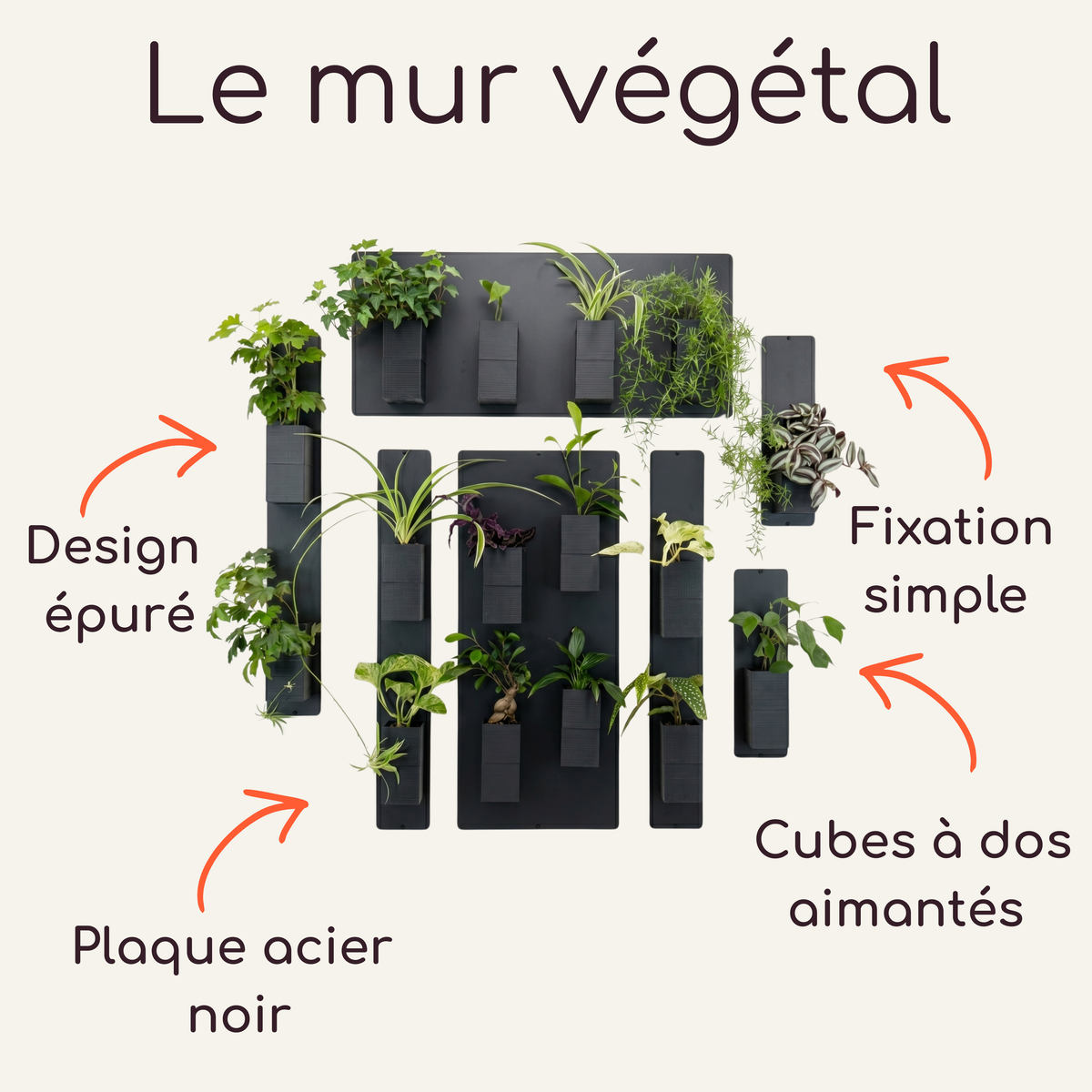Infographie explicative "Le mur végétal" de la marque Éclance décoration intérieur végétal. Le visuel présente plusieurs plaques en acier noir combinées avec des cache-pots Le cube tout noir, adaptés pour des pots de 6cm et contenant des plantes vertes. Des flèches orange pointent les caractéristiques clés avec les mentions textuelles : "Design épuré", "Plaque acier noir", "Fixation simple" et "Cubes à dos aimantés".