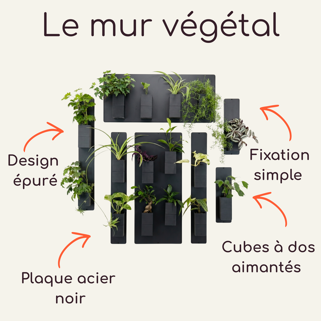 Infographie explicative "Le mur végétal" de la marque Éclance décoration intérieur végétal. Le visuel présente plusieurs plaques en acier noir combinées avec des cache-pots Le cube tout noir, adaptés pour des pots de 6cm et contenant des plantes vertes. Des flèches orange pointent les caractéristiques clés avec les mentions textuelles : "Design épuré", "Plaque acier noir", "Fixation simple" et "Cubes à dos aimantés".