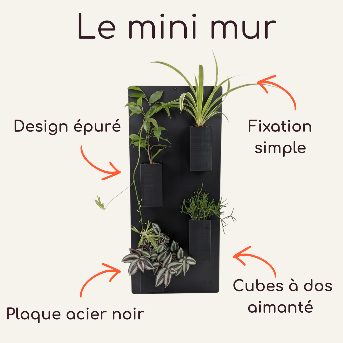 Infographie descriptive du concept Le mini mur par Éclance décoration intérieur végétal. Des flèches orange détaillent le grand support vertical en acier noir doté de quatre cache-pots noirs texturés Le cube (6cm) aimantés avec des plantes. Textes : Design épuré, Fixation simple, Plaque acier noir, Cubes à dos aimanté.