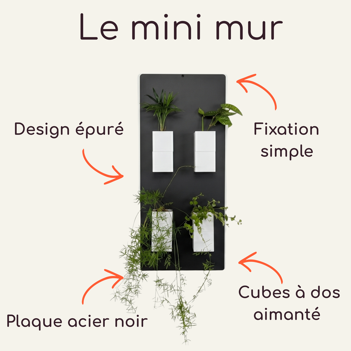 Infographie technique du concept Le mini mur par Éclance décoration intérieur végétal. Des flèches orange décrivent le produit sur fond crème : Design épuré, Fixation simple, Plaque acier noir, et Cubes à dos aimanté (modèle Le cube blanc 6cm).