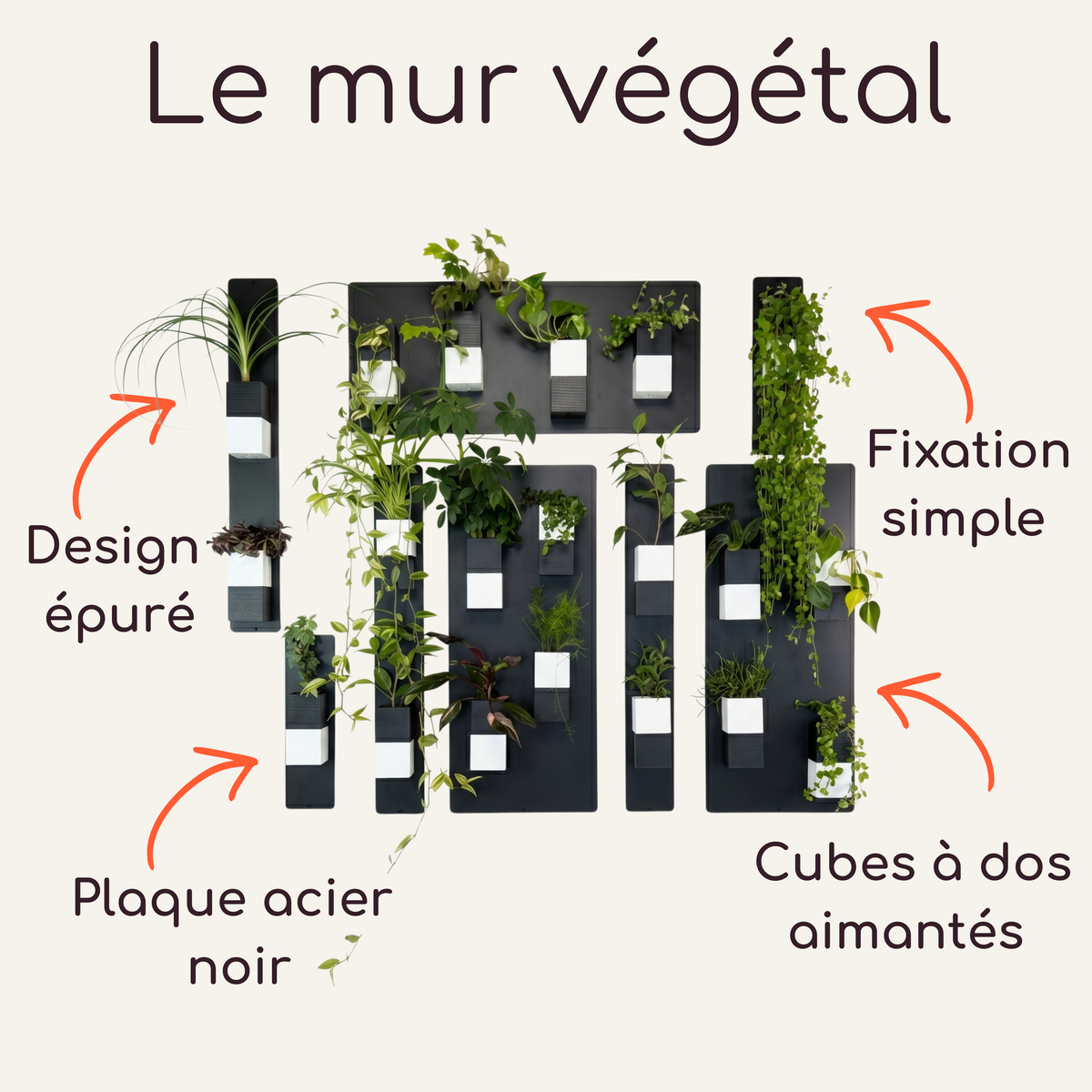 Infographie technique intitulée "Le mur végétal" par Éclance décoration intérieur végétal. Sur un fond crème, le visuel présente une composition modulaire de plaques magnétiques en acier noir sur lesquelles sont fixés de nombreux cache-pots Le cube bicolore noir et blanc, adaptés pour des pots de 6cm. Quatre flèches orange pointent les caractéristiques clés avec les textes : Design épuré, Plaque acier noir, Fixation simple et Cubes à dos aimantés. Les plantes d'intérieur sont vertes et tombantes.