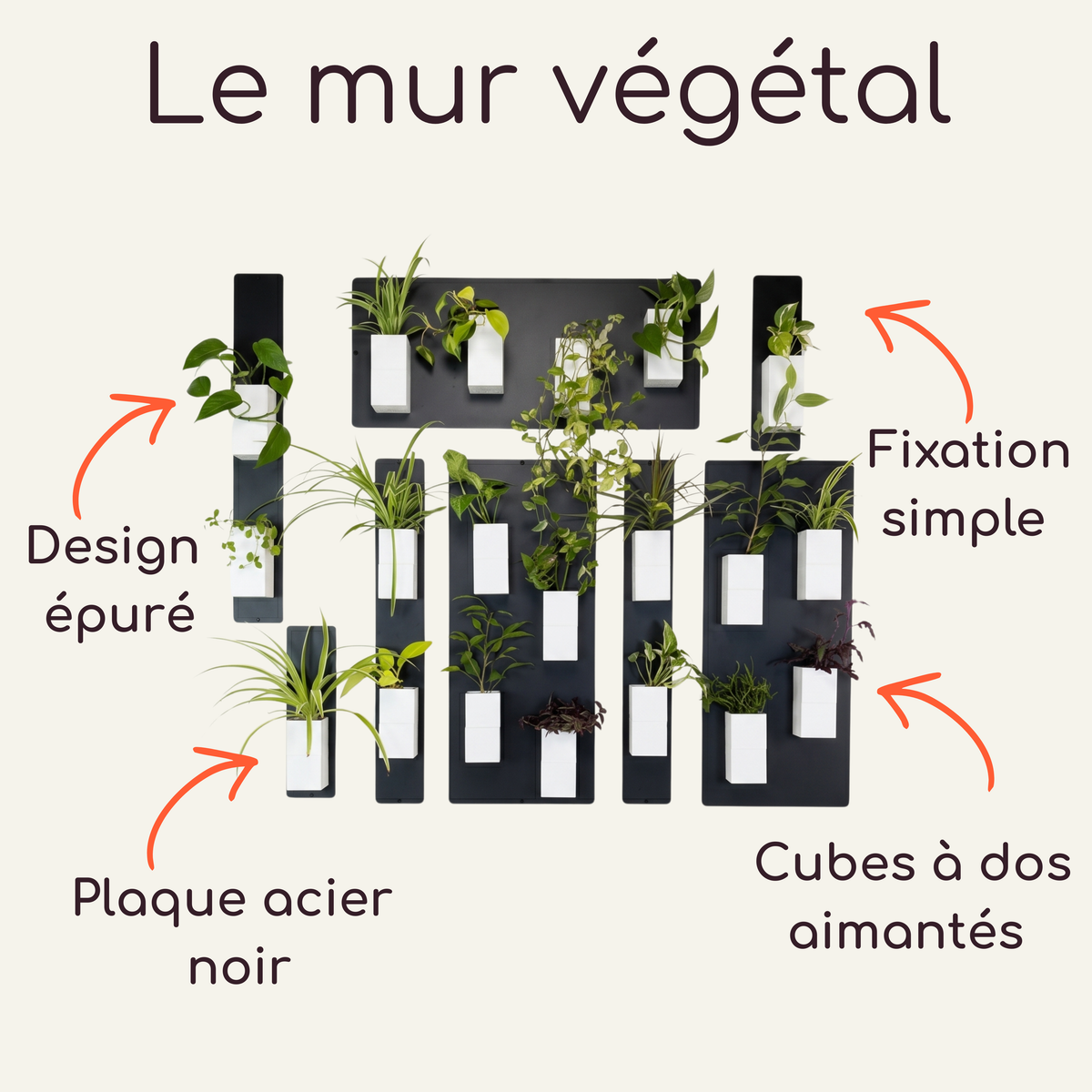 Infographie technique intitulée "Le mur végétal" par Éclance décoration intérieur végétal. Sur un fond crème, le visuel présente une composition modulaire de plaques en acier noir sur lesquelles sont aimantés des cache-pots Le cube tout blanc, adaptés pour des pots de 6cm, contenant des plantes vertes. Quatre flèches orange pointent les caractéristiques clés avec les textes : Design épuré, Plaque acier noir, Fixation simple et Cubes à dos aimantés.