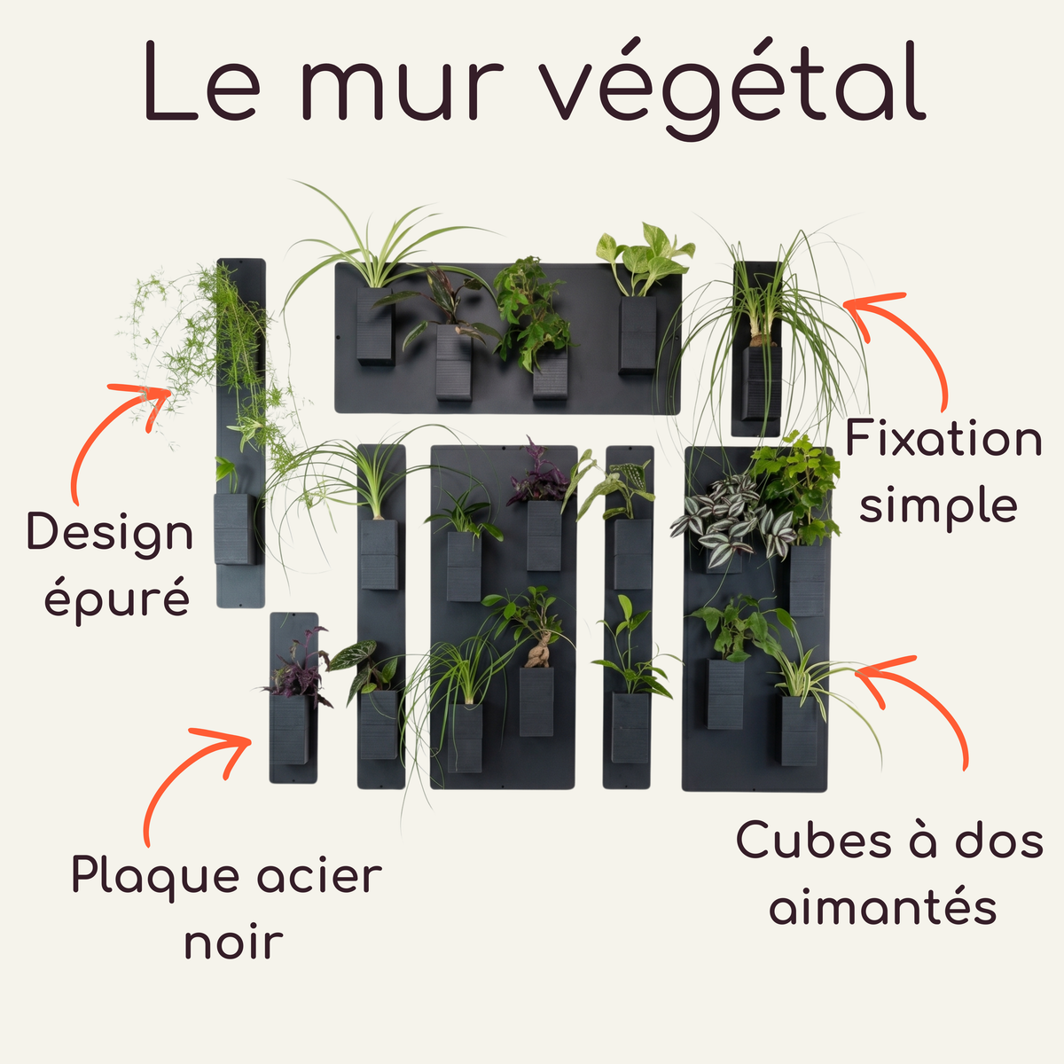 Infographie technique intitulée "Le mur végétal" par Éclance décoration intérieur végétal. Sur un fond crème, le visuel présente une composition modulaire de plaques en acier noir sur lesquelles sont aimantés de nombreux cache-pots Le cube tout noir, adaptés pour des pots de 6cm, contenant des plantes vertes. Quatre flèches orange pointent les arguments clés avec les textes : Design épuré, Plaque acier noir, Fixation simple et Cubes à dos aimantés.