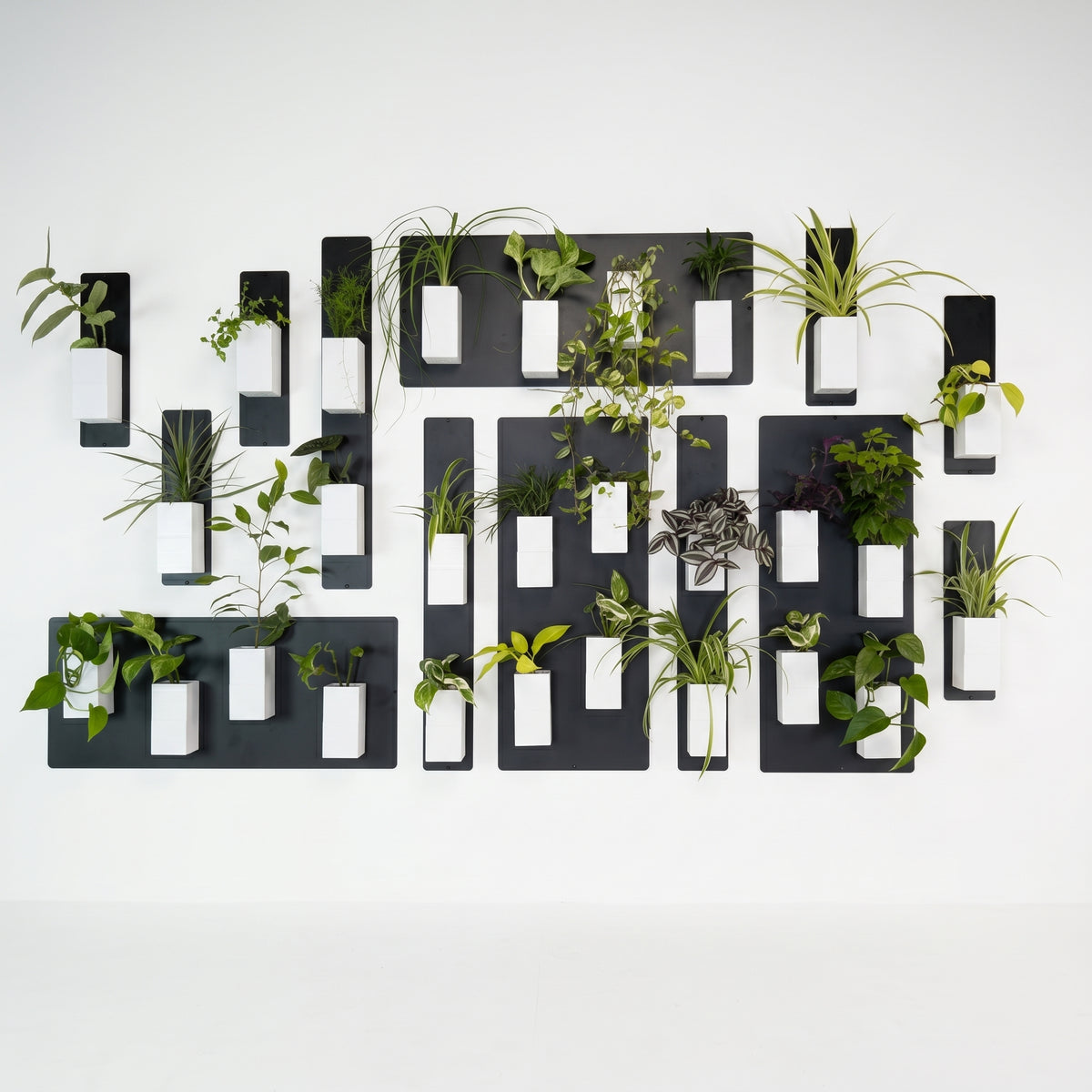 Une grande installation de mur végétal modulable et graphique signée Éclance décoration intérieur végétal. Sur un mur minimaliste blanc, des supports métalliques noirs soutiennent de nombreux cache-pots Le cube blancs (adaptés pour des pots de 6cm) remplis d'une variété luxuriante de plantes vertes. La composition moderne et épurée crée un contraste saisissant.