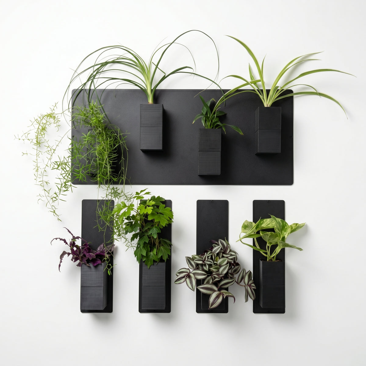 Vue de face d'un système de mur végétal modulaire Éclance décoration intérieur végétal posé sur un mur blanc épuré. L'installation graphique associe une grande plaque magnétique horizontale en acier noir en haut et quatre plaques magnétiques verticales fines alignées en dessous. Plusieurs cache-pots monochromes Le cube tout noir (conçus pour des pots de 6cm) y sont aimantés. Ils abritent une riche variété de plantes vertes d'intérieur, notamment un chlorophytum aux longues feuilles graphiques.