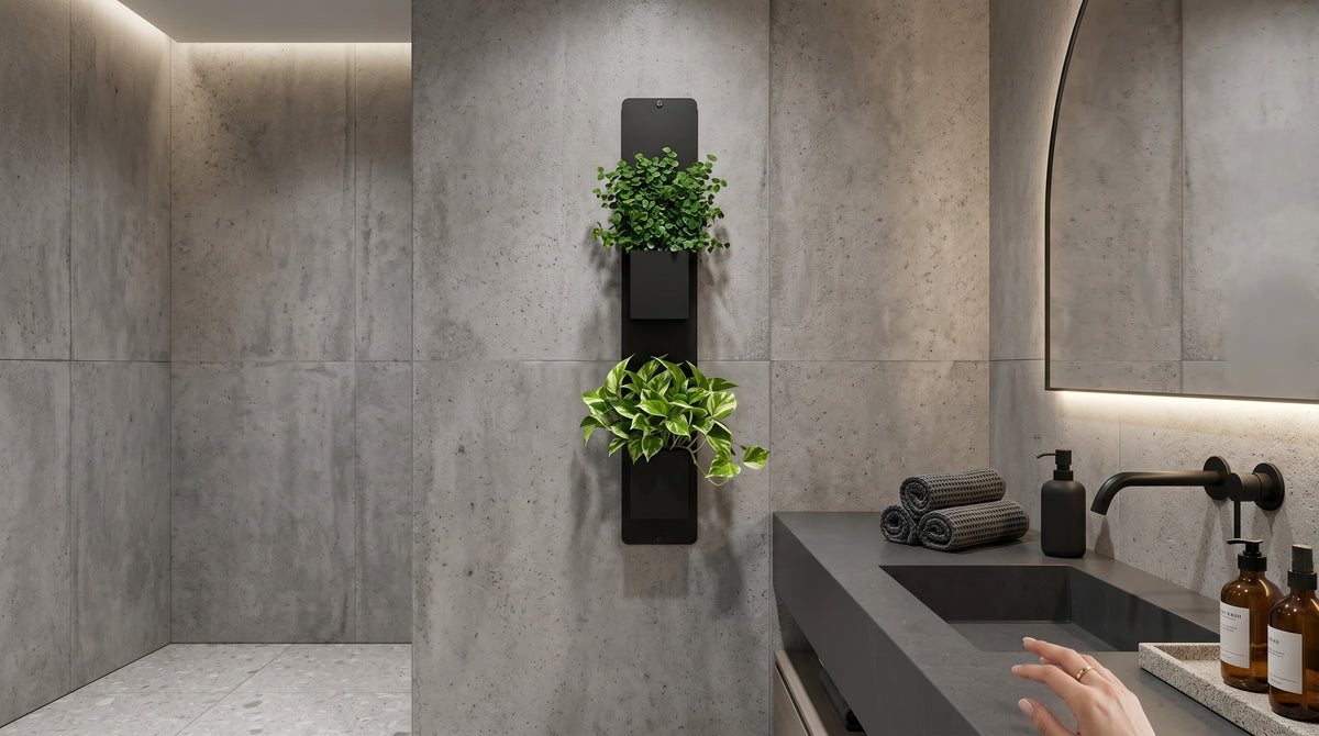 Support mural noir Éclance décoration intérieur végétal avec deux cache-pots noirs Le cube (adaptés pour un pot de 6cm) remplis de plantes vertes, fixé sur un mur en béton près d’un plan vasque sombre dans une salle de bain.