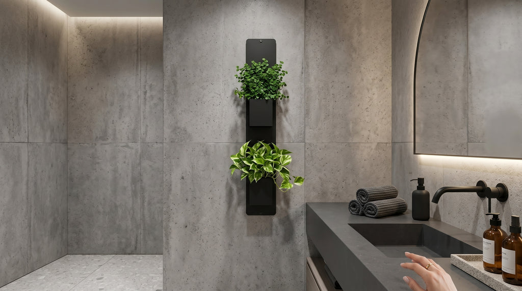 Support mural noir Éclance décoration intérieur végétal avec deux cache-pots noirs Le cube (adaptés pour un pot de 6cm) remplis de plantes vertes, fixé sur un mur en béton près d’un plan vasque sombre dans une salle de bain.
