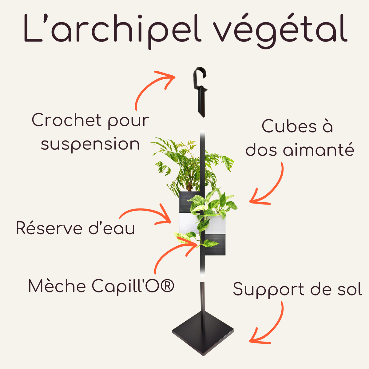 L'archipel végétal par Éclance : un support de décoration intérieure polyvalent avec tige thermolaquée noir mat, utilisable en suspension ou sur support de sol. Il présente le cache-pot Le cube (adapté pour pots de 6cm) en versions bicolores noir et blanc avec système d'arrosage par mèche autonome Capill'O.
