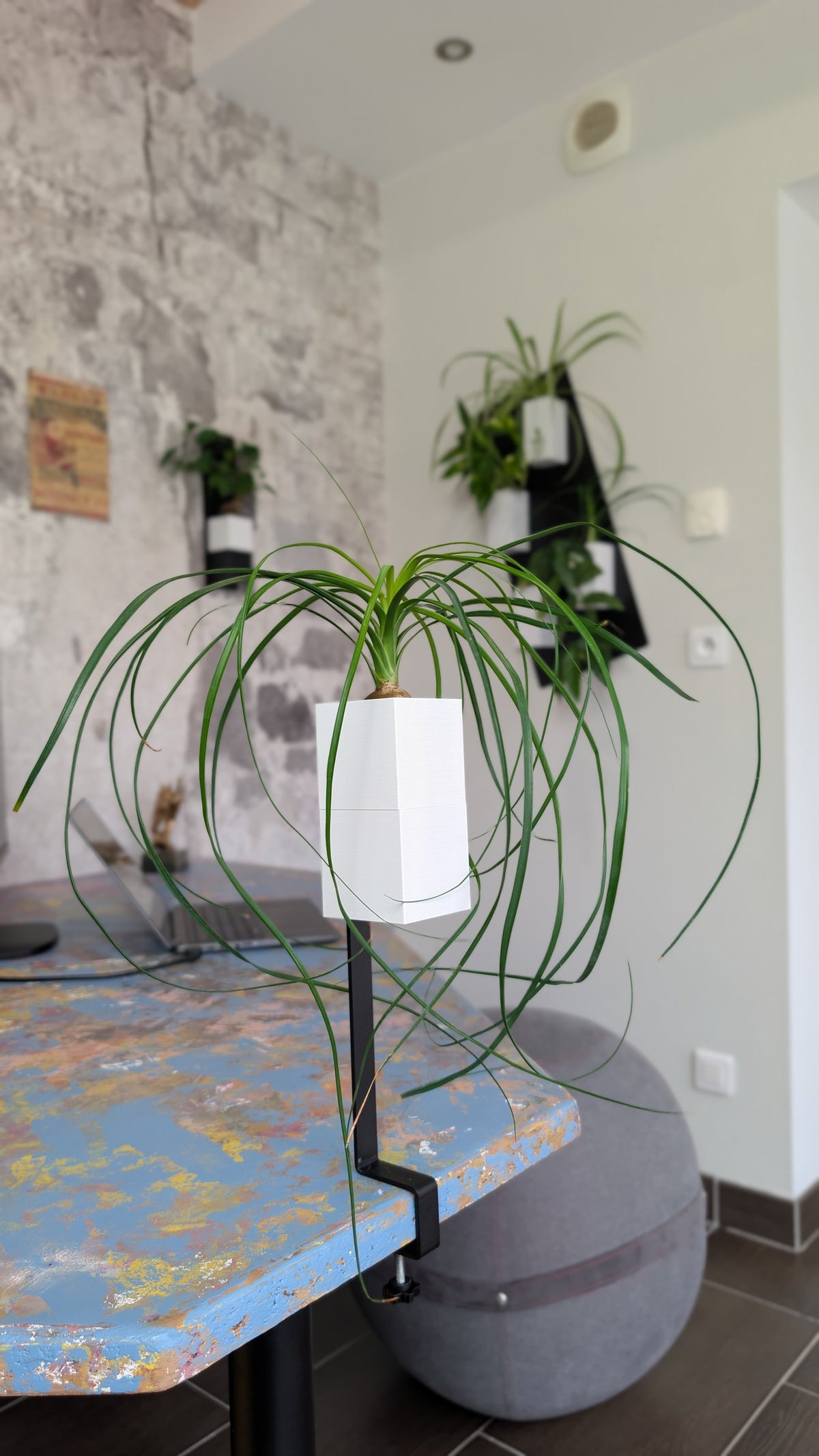 L'Îlot Végétal Éclance simple blanc : support de plante de bureau fixé par pince avec un pot blanc et une plante verte.
