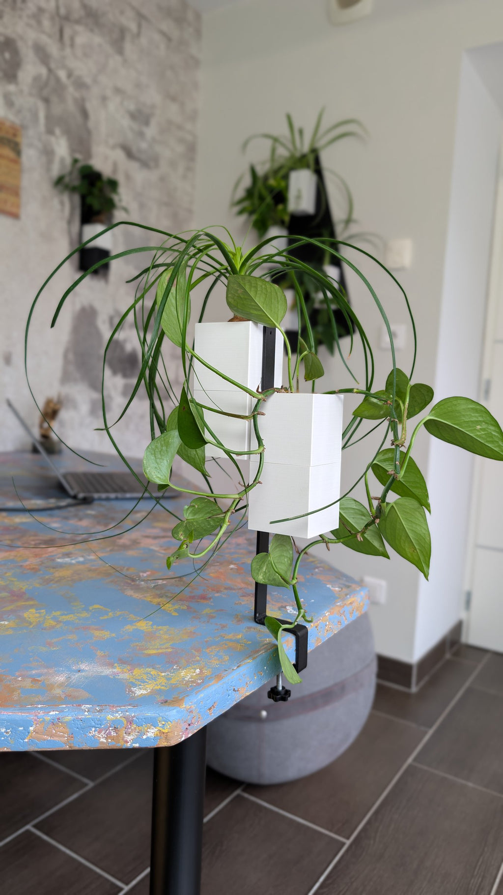 L'Îlot Végétal Éclance double blanc : support végétal blanc double fixé par pince sur une table au design coloré dans un bureau.