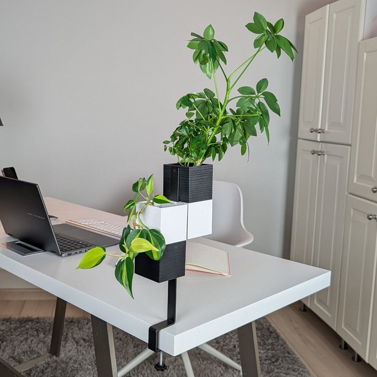 L'Îlot Végétal Éclance double bicolore noir et blanc : support de plantes bicolore fixé au bord d'un bureau moderne avec ordinateur portable.