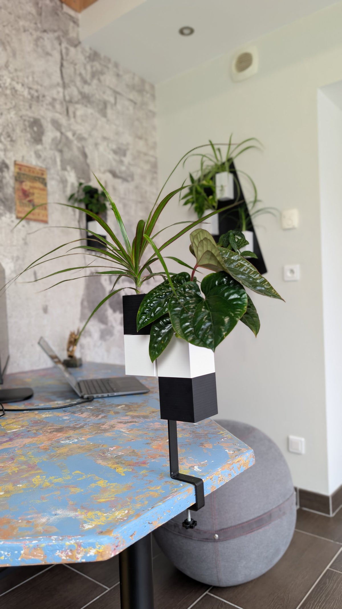 L'Îlot Végétal Éclance double bicolore noir et blanc : support pour plantes Îlot Végétal noir et blanc fixé au bord d'un bureau coloré.