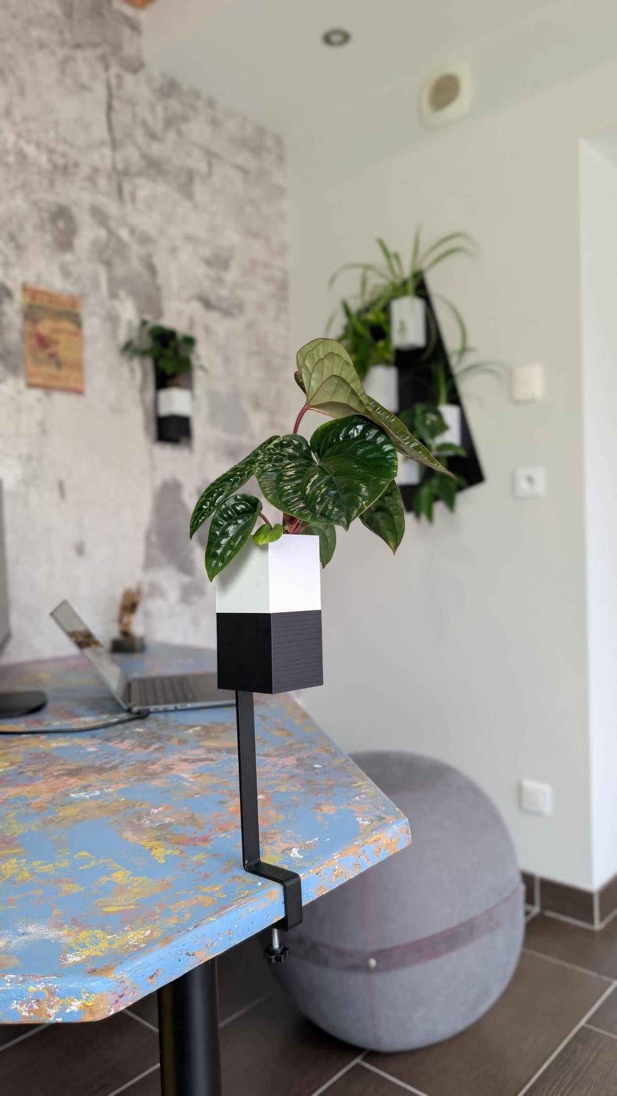 L'Îlot Végétal Éclance simple bicolore (cube haut blanc, cube bas noir) : cache-pot Îlot Végétal blanc et noir fixé au bord d'un bureau avec une plante verte.