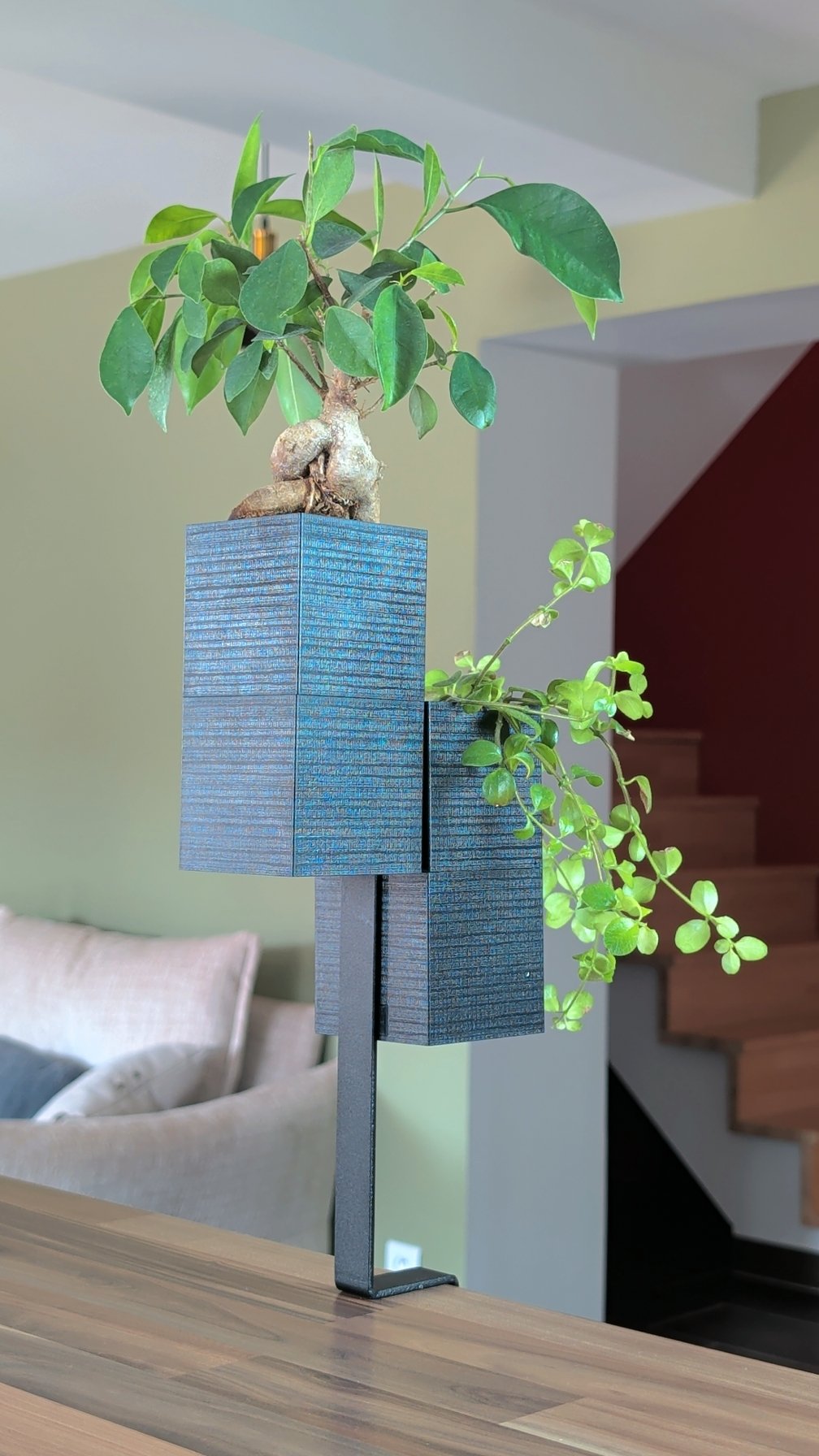 L'Îlot Végétal Éclance double noir : support végétal double noir fixé sur une table en bois dans un salon lumineux.
