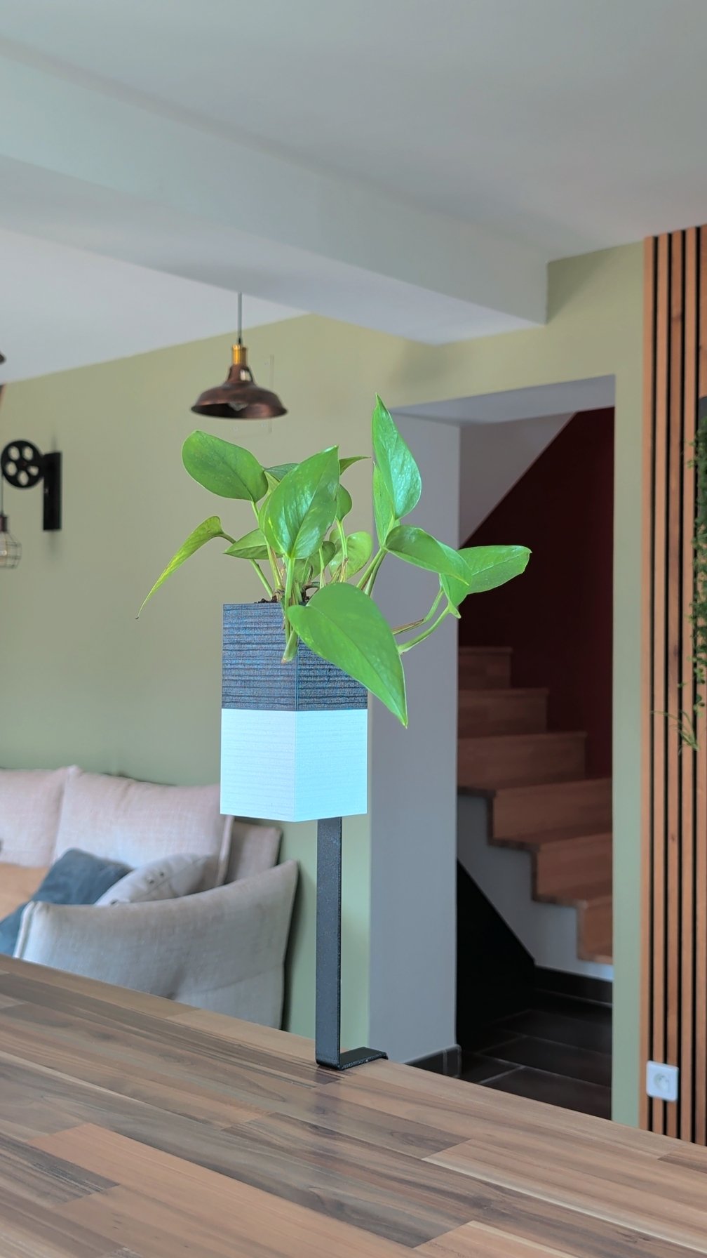 L'Îlot Végétal Éclance simple bicolore (cube haut noir, cube bas blanc) : plante verte dans un cache-pot bicolore fixé sur le rebord d'une table en bois.