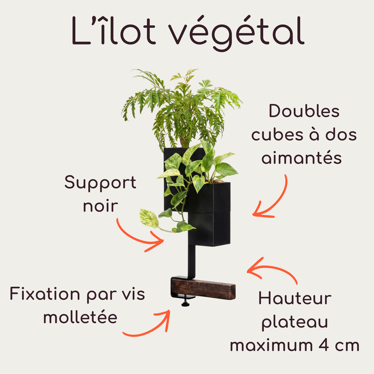 Schéma technique explicatif de L'îlot végétal par Éclance décoration intérieur végétal. L'image détaille un support de bureau à pincer comprenant une fixation par vis molletée, une base en bois pour plateau de 4 cm maximum, et un support central noir. Des doubles cache-pots sont aimantés au support. Le Cube tout noirs à dos aimantés (adaptés pour des pots de 6 cm), mettant en scène des plantes d'intérieur.