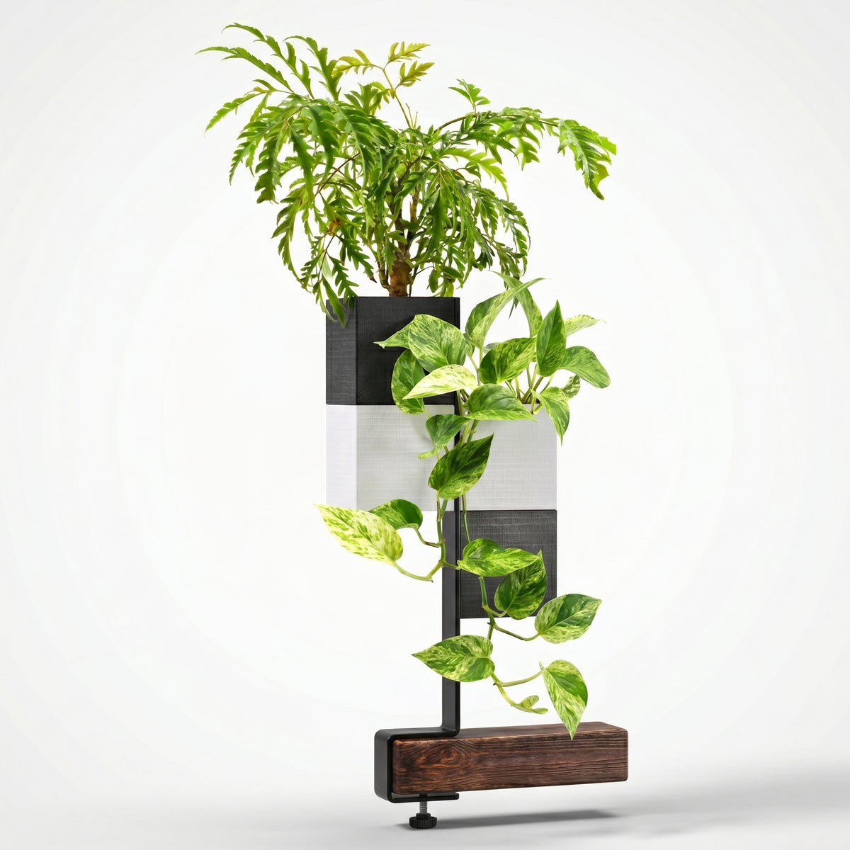 Barre de support verticale Éclance avec doubles caches-pots Le cube noir et blanc pour pot de 6cm, aménagement d'un îlot végétal intérieur moderne et minimaliste.