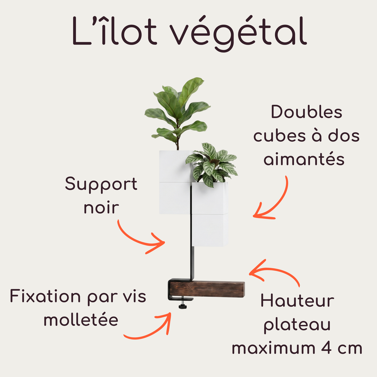 Schéma technique de L'îlot végétal par Éclance décoration intérieur végétal. L'infographie détaille un support de bureau à pincer avec une fixation par vis molletée (pour une hauteur de plateau maximum de 4 cm) et une base en bois. Sur le support central noir sont fixés des doubles cache-pots Le Cube tout blancs à dos aimantés (adaptés pour des pots de 6 cm), accueillant de petites plantes d'intérieur.