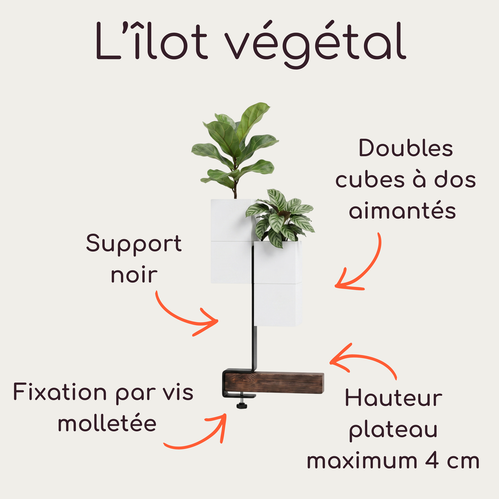 Schéma technique de L'îlot végétal par Éclance décoration intérieur végétal. L'infographie détaille un support de bureau à pincer avec une fixation par vis molletée (pour une hauteur de plateau maximum de 4 cm) et une base en bois. Sur le support central noir sont fixés des doubles cache-pots Le Cube tout blancs à dos aimantés (adaptés pour des pots de 6 cm), accueillant de petites plantes d'intérieur.