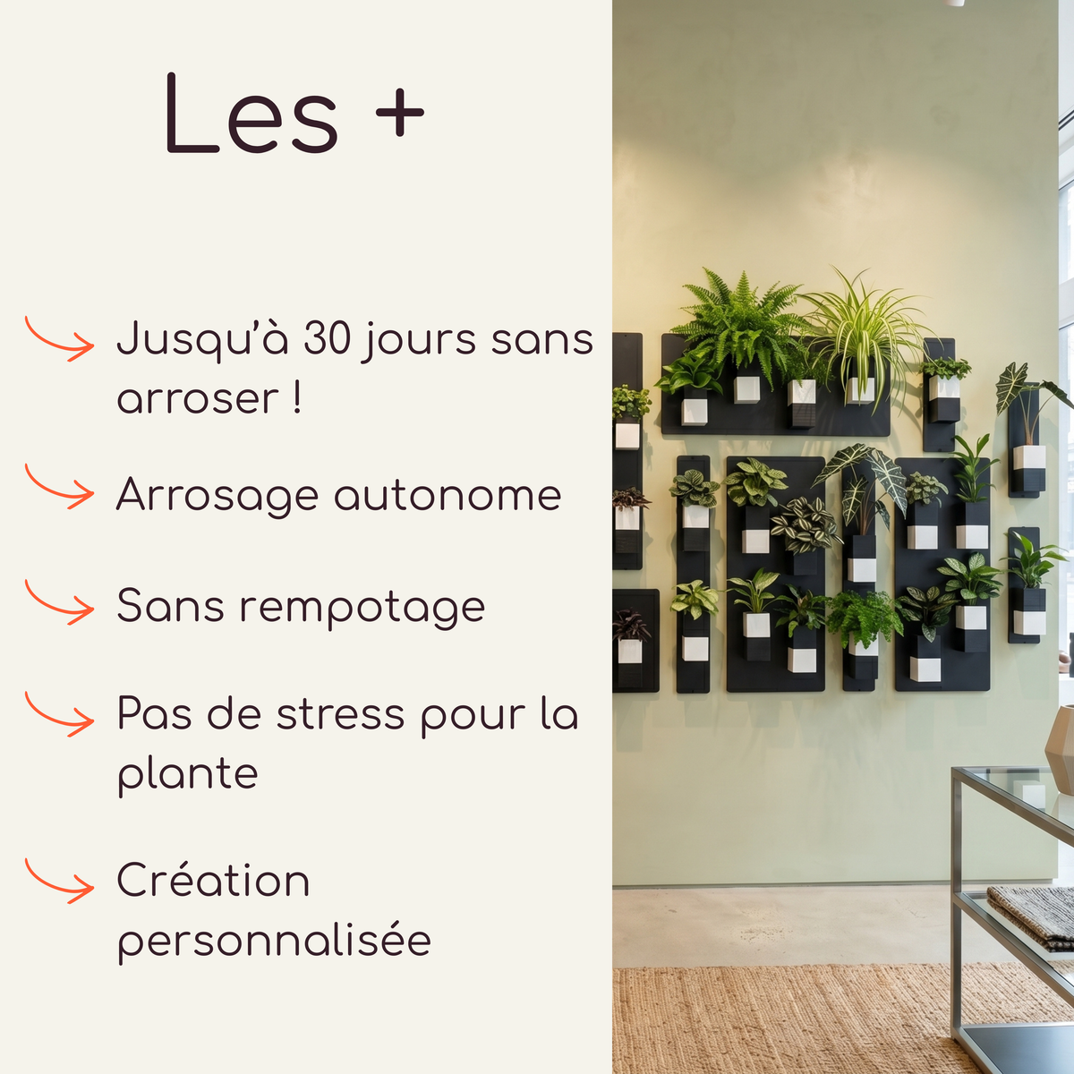 Infographie Éclance détaillant les avantages du mur végétal avec système d'arrosage autonome jusqu'à 30 jours et sans rempotage. Le visuel de droite montre l'installation sur un mur vert sauge avec des plaques en acier noir et des cache-pots magnétiques bicolores modèle Le Cube, adaptés pour un pot de 6cm.