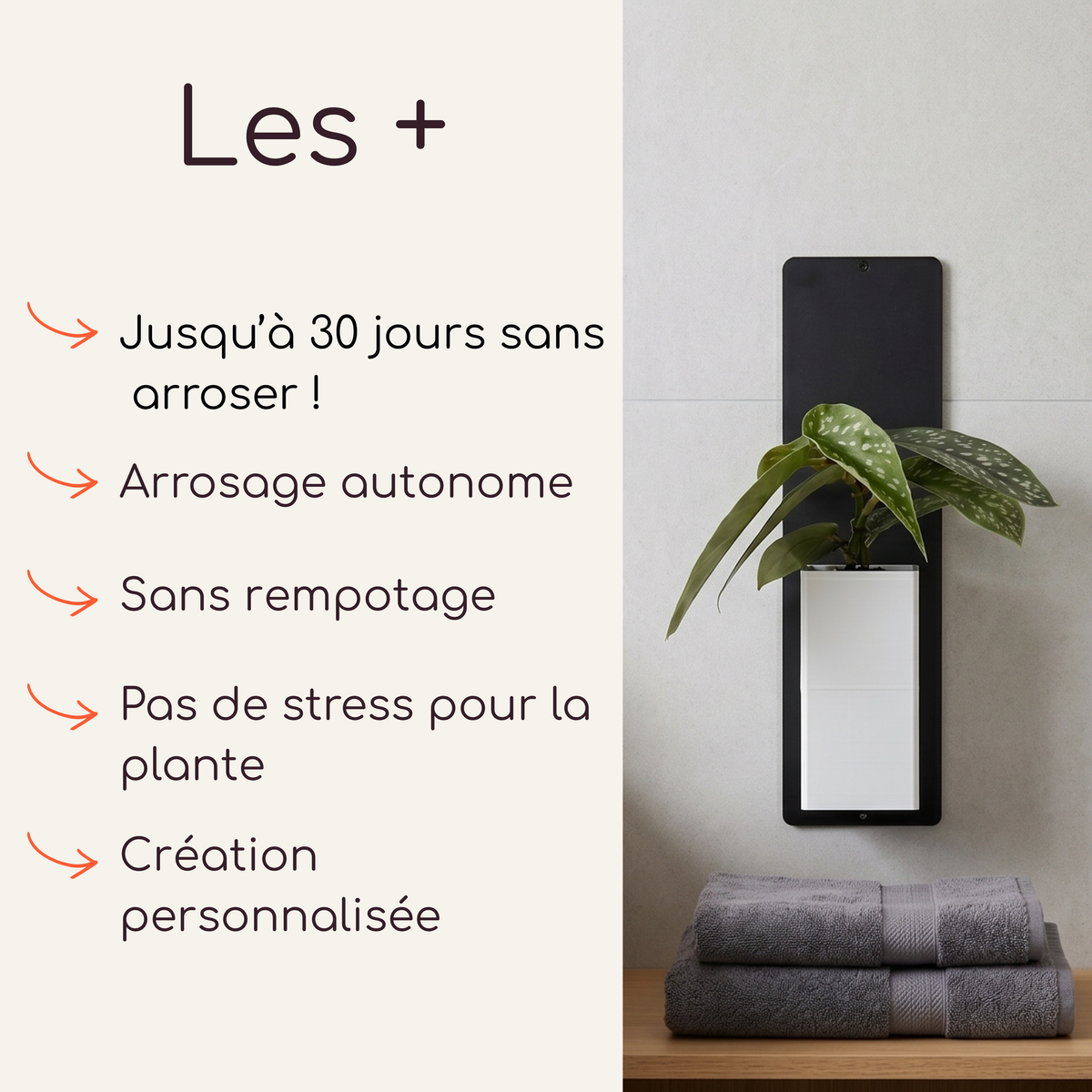 Infographie commerciale de la marque Éclance décoration intérieur végétal intitulée 'Les +'. À gauche, la liste des avantages indique : 'Jusqu’à 30 jours sans arroser !', 'Arrosage autonome', 'Sans rempotage', 'Pas de stress pour la plante' et 'Création personnalisée'. À droite, une photo montre un support mural noir vertical avec le cache-pot Le cube tout blanc (adapté pour un pot de 6cm) contenant une plante, installé dans une salle de bain au-dessus de serviettes.