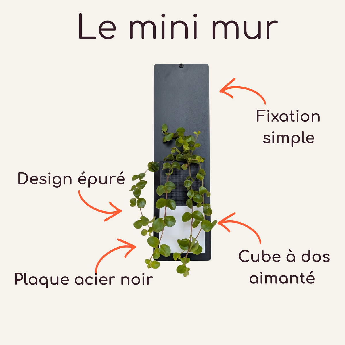 Infographie explicative intitulée "Le mini mur" détaillant les caractéristiques du cache-pot Le cube bicolore noir et blanc de la marque Éclance décoration intérieur végétal. Adapté pour un pot de 6cm, ce cache-pot à dos aimanté accueille une plante tombante et se pose sur un support mural vertical : une plaque en acier noir au design épuré dotée d'une fixation simple.