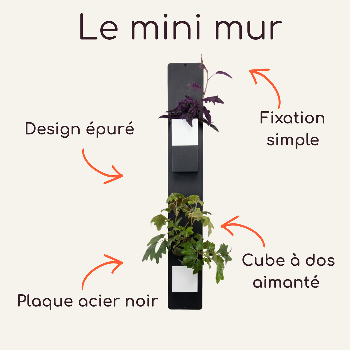Infographie explicative intitulée "Le mini mur" mettant en valeur deux cache-pots Le Cube de la marque Éclance décoration intérieur végétal. Adaptés pour des pots de 6cm, ces deux modèles bicolores noir et blanc (contenant une plante violette et une plante verte) sont disposés sur un support mural vertical. Quatre flèches orange pointent vers les atouts du produit : "Design épuré", "Plaque acier noir", "Fixation simple" et "Cube à dos aimanté".