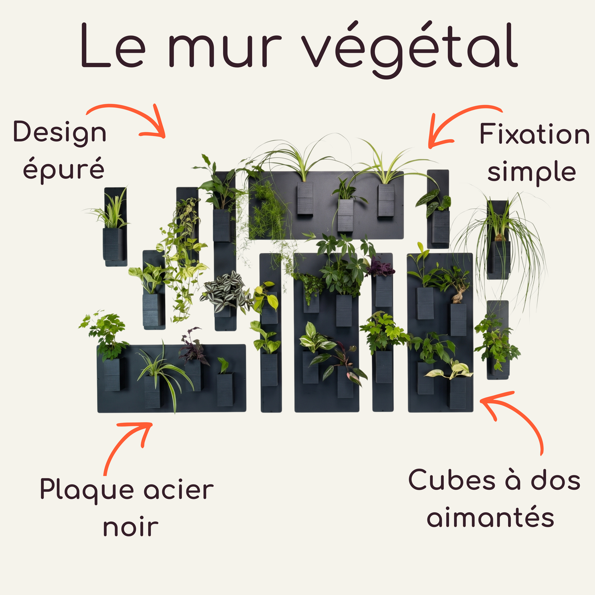 Infographie explicative du mur végétal modulable par Éclance décoration intérieur végétal. Le visuel détaille le concept avec quatre flèches orange mettant en avant ses caractéristiques : un design épuré, une fixation simple, une plaque en acier noir et le cache-pot Le cube noir à dos aimanté, parfaitement adapté pour un pot de 6cm. Des plantes vertes variées sont disposées harmonieusement sur la structure.