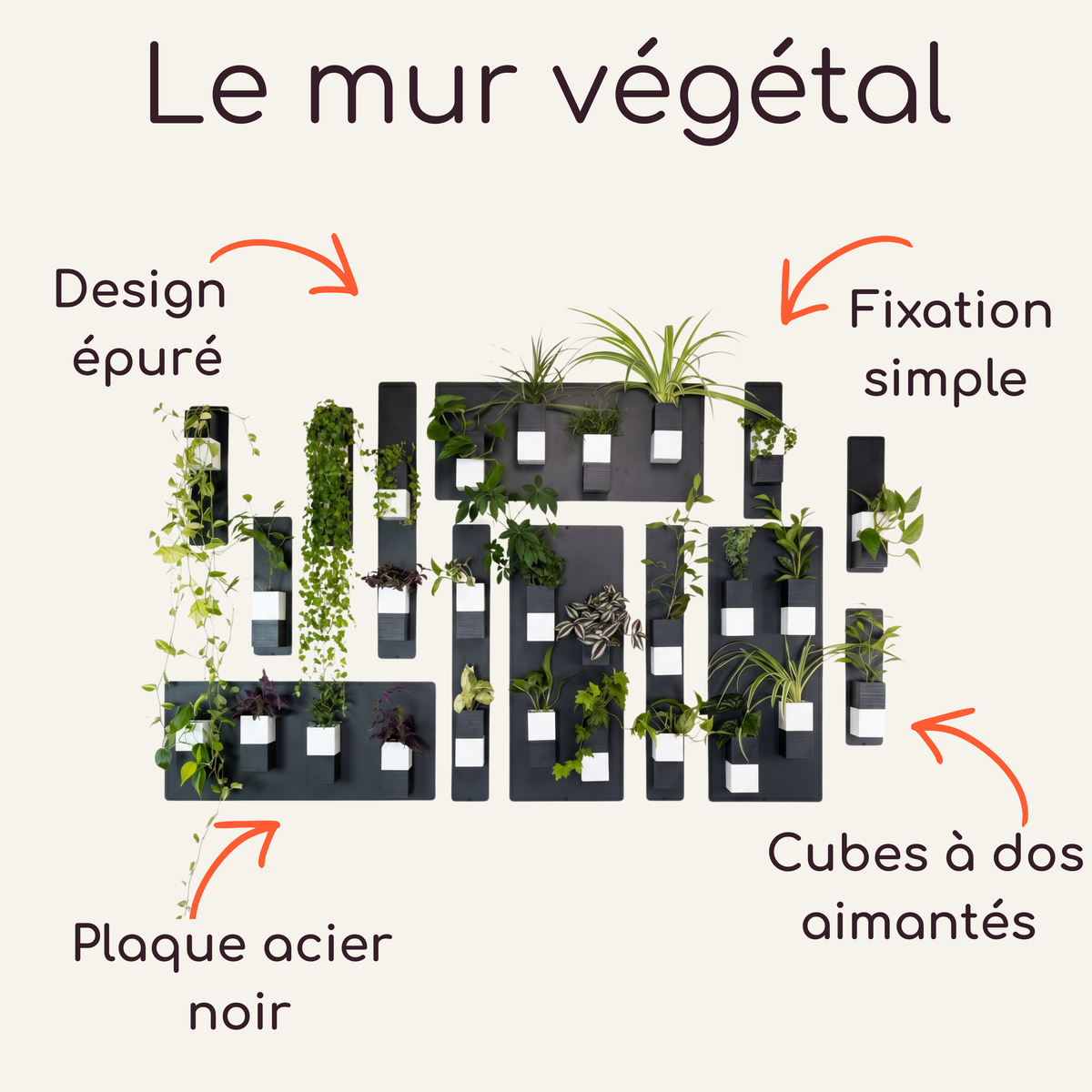 Infographie Éclance intitulée "Le mur végétal" mettant en avant un design épuré et une fixation simple. Le visuel présente des plaques en acier noir ornées de cache-pots magnétiques bicolores noir et blanc modèle Le Cube, spécialement adaptés pour un pot de 6cm avec diverses plantes.