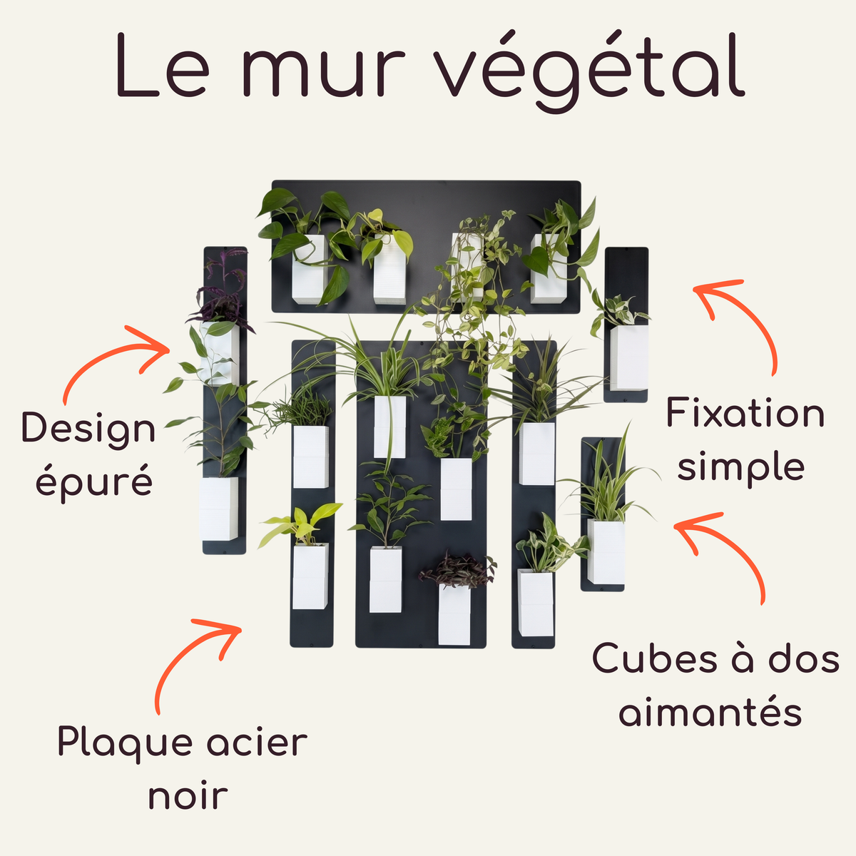 Infographie descriptive pour le mur végétal modulaire Éclance décoration intérieur végétal. Sur un fond beige, plusieurs plaques en acier noir accueillent de nombreux cache-pots Le cube tout blancs avec diverses plantes d'intérieur. Le titre "Le mur végétal" est affiché en haut. Quatre flèches orange pointent vers les caractéristiques clés : Design épuré, Plaque acier noir, Fixation simple, Cubes à dos aimantés.