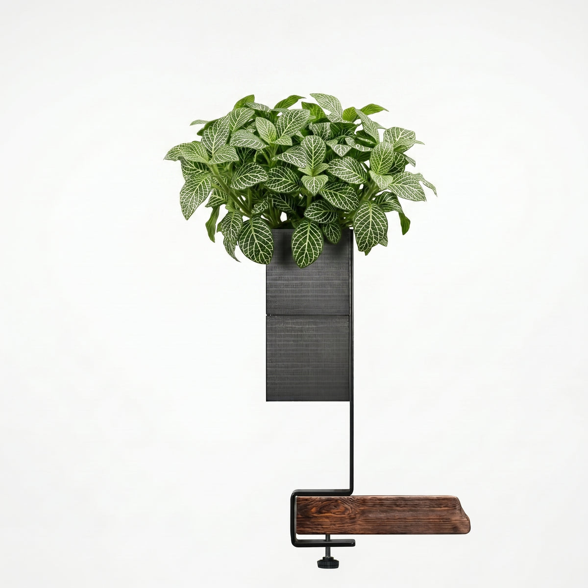 Barre de support verticale Éclance avec un cache-pot Le cube noir pour pot de 6cm, aménagement d'un îlot végétal intérieur moderne et minimaliste.