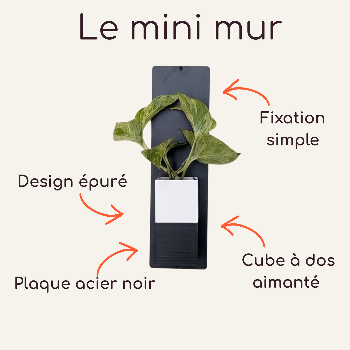 Infographie technique du Mini Mur Éclance avec une plaque en acier noir au design épuré. Le visuel montre un cache-pot Le Cube bicolore blanc et noir à dos aimanté, spécialement adapté pour un pot de 6cm, d'où sort une plante verte panachée. Des flèches indiquent la fixation simple et les caractéristiques de la décoration d'intérieur végétale.