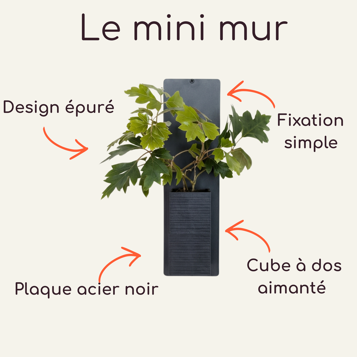 Infographie du Mini Mur Éclance présentant un cache-pot Le Cube noir, aimanté et adapté pour un pot de 6cm. Le cache-pot est fixé sur une plaque en acier noir au design épuré, illustrant le système de fixation simple pour la décoration d'intérieur végétale.
